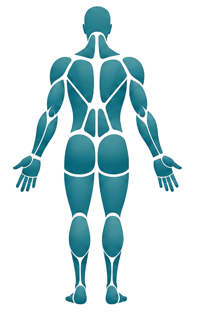 Back body view